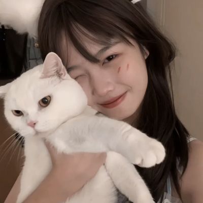 口袋妖怪釉色中文版下载