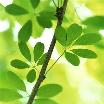 地牢幸存者手游(暂未上线)v1.0.0 安卓版