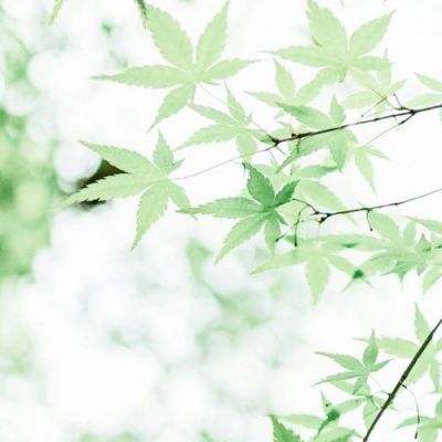 俄议会通过关于俄暂停履行《新削减战略武器条约》的法案