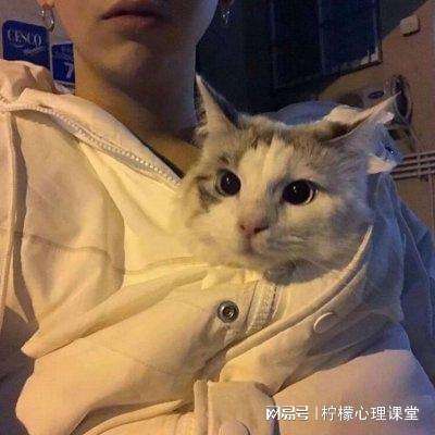 火柴人蜘蛛侠王者手机版下载